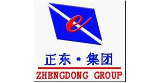 正東電子動(dòng)力集團(tuán)